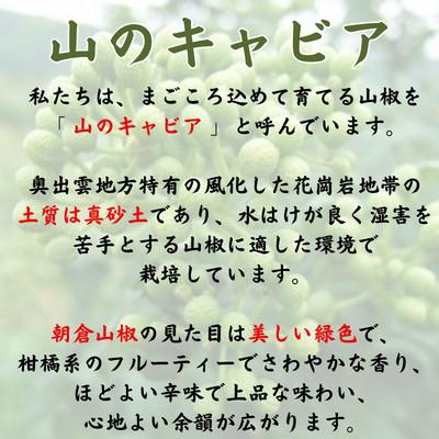 ふるさと納税 雲南市 奥出雲山椒ジャコのり「頼むからごはんください」4個セット