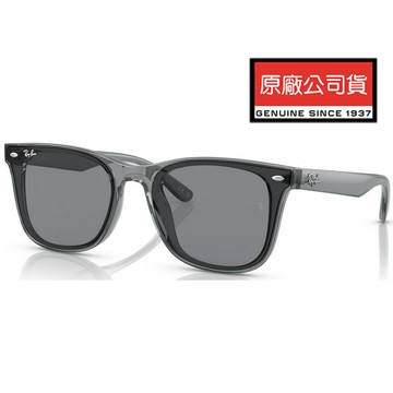 RAY BAN 亞洲版 時尚大鏡面太陽眼鏡 RB4391D 645087 透晶灰框抗UV鏡片 公司貨