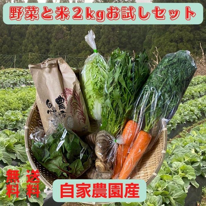 野菜＋米2kgお試しセット野菜 米 有機栽培 無農薬 熊本県産