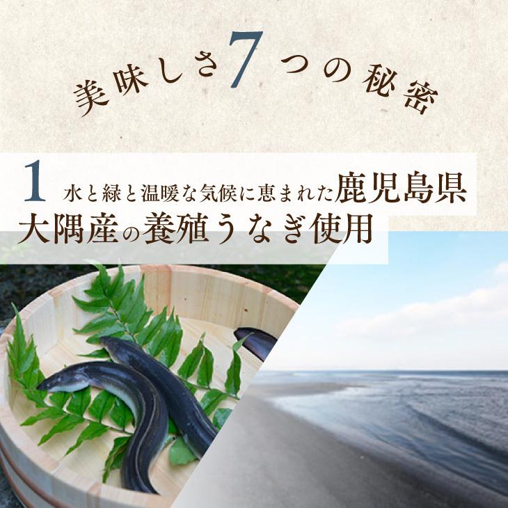 ギフト包装・熨斗・表書きOK  日本 国産 鰻 ウナギ 土用丑の日 お礼 御祝 お中元 ギフト 贈答 送料無料