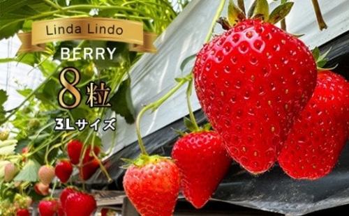 Linda Lindo BERRY 3Lサイズ 8粒