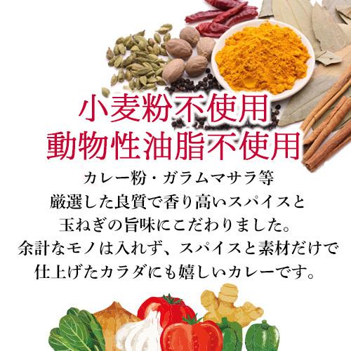 カレー  パラックチキンカレー 180g×10箱 ≪パッケージ版≫ 送料無料