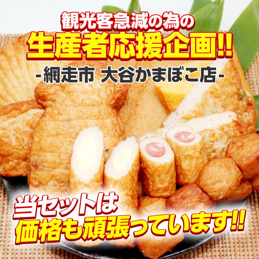 本日クーポンで10％OFF さつま揚げ 9種×2 詰め合わせセット 北海道産スケトウダラ使用 薩摩揚げ 揚げかまぼこ お歳暮 御歳暮 送料無料