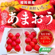 農家直送 朝採り新鮮いちご[(約270g)×4パック] 福岡県産 先行予約 2023年11月より順次発送　NY001