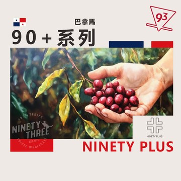 巴拿馬 Ninety Plus 90+系列 藝伎 精品豆 熟豆 100g 咖啡豆 【93 咖啡】