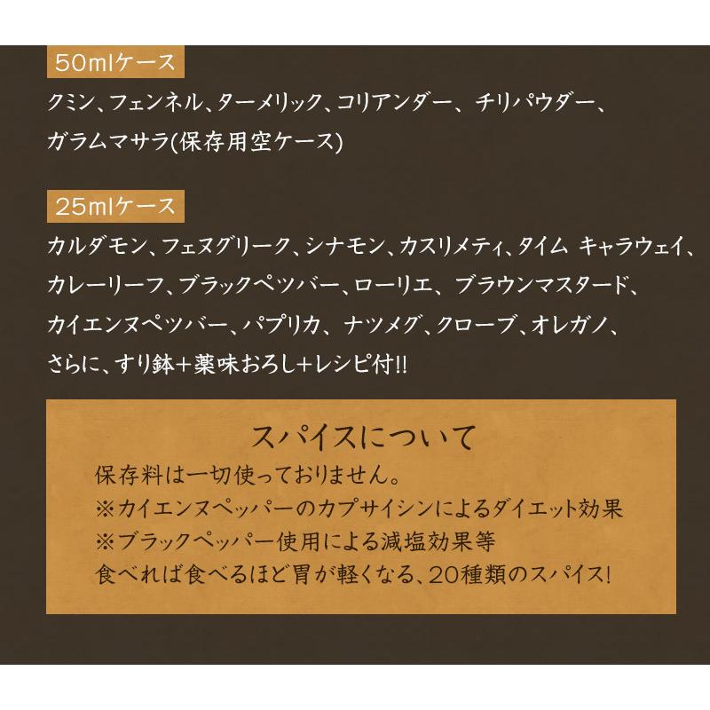 カレー　スパイス　お得　セット　20種　詰合せ（30皿分）　俺のカレー