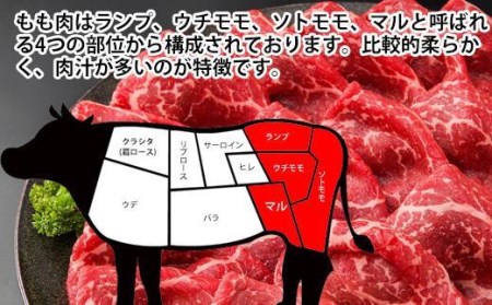 土佐和牛A5特選クラシタロース＆特選もも1kgセット すき焼き肉 しゃぶしゃぶ肉