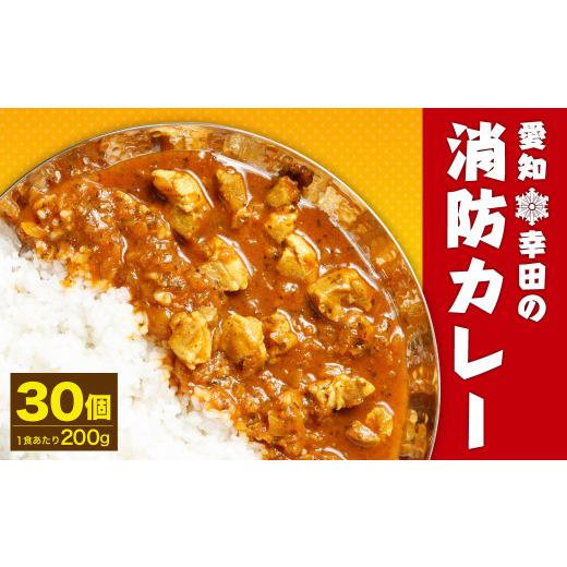 ふるさと納税 愛知県 幸田町 幸田消防カレー 200g×30個入り レトルトカレー カレー 小麦粉不使用