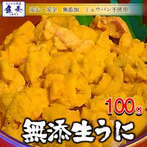 ミョウバン不使用 冷凍 生うに 100gパック チリ産 AAグレード 無添加 安心・安全 雲丹 ウニ うに丼  ギフト 在宅