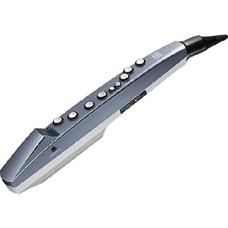 Roland AE-01 Aerophone Mini Digital Wind Instrument, Blue 並行輸入品