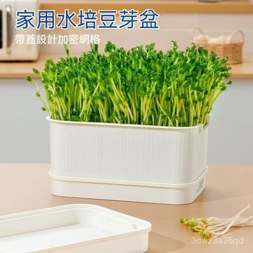🤘蝦米優選🤘豌豆苗種植盆芽苗菜豆芽盆傢用髮芽無土栽培水培託盤蔬菜髮芽 水耕栽培 水耕種植 水耕蔬菜 豆苗種植 ODTS