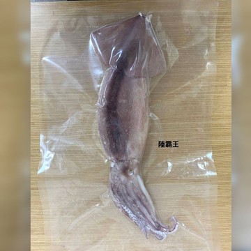 魷魚冰捲 熟食海鮮 冰捲 涼拌下酒菜【陸霸王】
