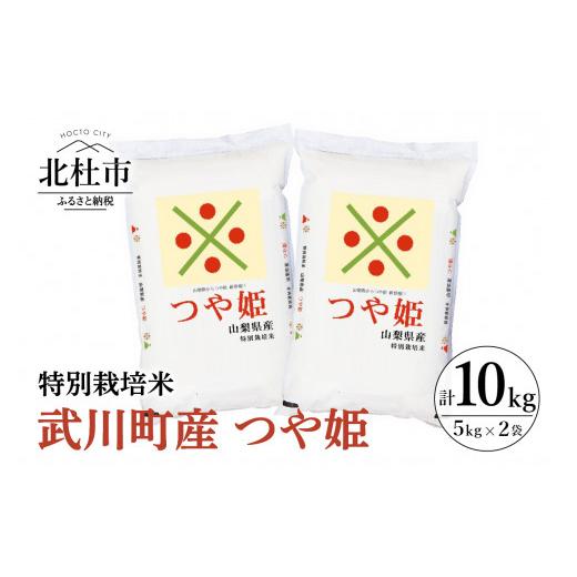 ふるさと納税 山梨県 北杜市 令和5年度米　特別栽培米　武川町産つや姫　５kg×２袋