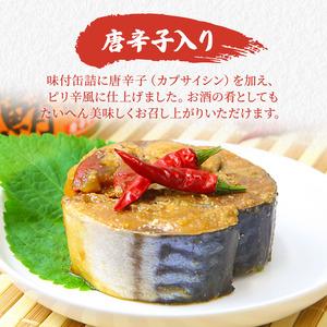 ふるさと納税 サバ缶 若狭の鯖缶 3種 食べ比べ 12缶 セット しょうゆ 生姜入り 唐辛子入り 鯖缶 さば サバ 鯖 缶 缶詰 魚 魚介 魚介類 海鮮 福井.. 福井県若狭町