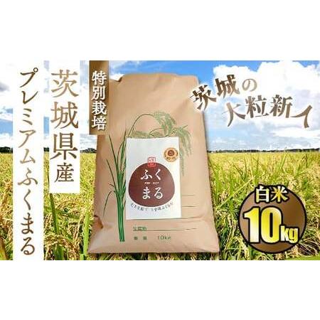 ふるさと納税 ☆茨城の大粒新人 プレミアムふくまる特別栽培米10kg 茨城県守谷市