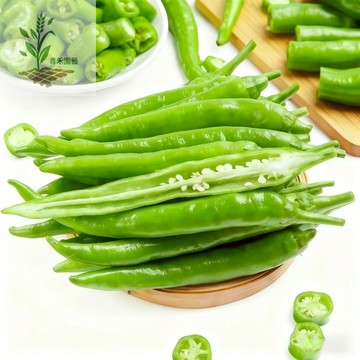 青禾園藝（杭椒種子）LJ-8 長型青辣椒種子 微微辣食用線椒高產早熟農家果菜類蔬菜種子菜園庭院#台灣自留種