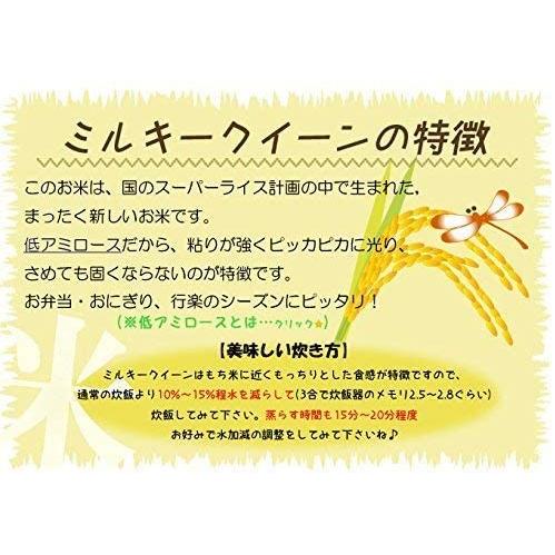 精白米 5kg 令和4年産 新潟県産 ミルキークイーン 安心安全な特別栽培米