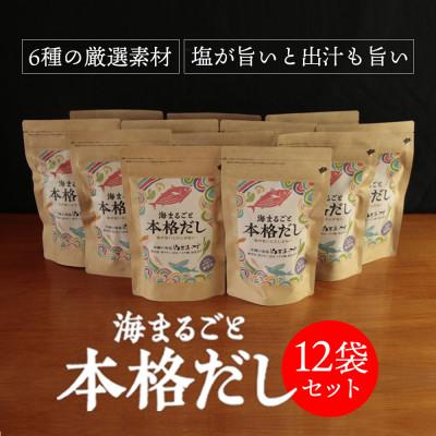 ふるさと納税 うるま市 ぬちまーすの「海まるごと本格だし」×12袋