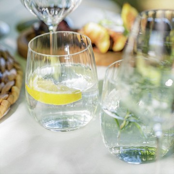 《VEGA》Leya水晶玻璃威士忌杯-460ml-- 調酒杯 雞尾酒杯 烈酒杯