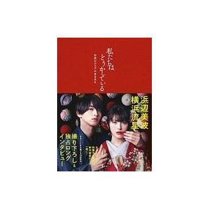 中古芸能雑誌 私たちはどうかしている 公式ビジュアルBOOK