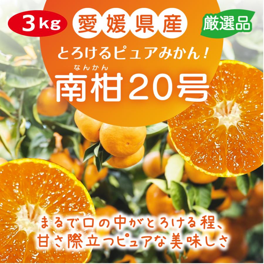 みかん 南柑20号 3kg 贈答用 愛媛 オレンジ ギフト 柑橘 ミカン 温州みかん 果汁 果物 フルーツ お取り寄せ 旬 甘い 家庭 産地直送 大玉 クリスマス お歳暮