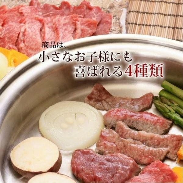 敬老の日 牛肉 焼肉 セット 800g カルビ 牛タン ハラミ 豚バラ 送料無料 焼肉セット 国産 業務用 焼き肉 バーベキュー BBQ やきにく ギフト