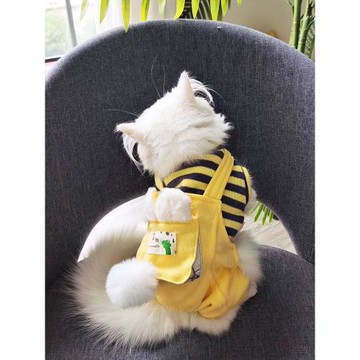 貓咪衣服冬裝貓貓冬天保暖防掉毛幼貓布偶德文寵物小貓加厚保暖衣