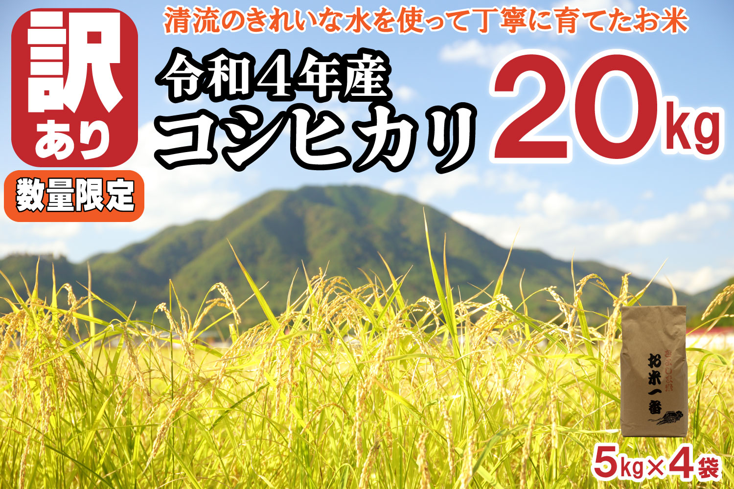 数量限定コシヒカリ きよしま米20kg[904]