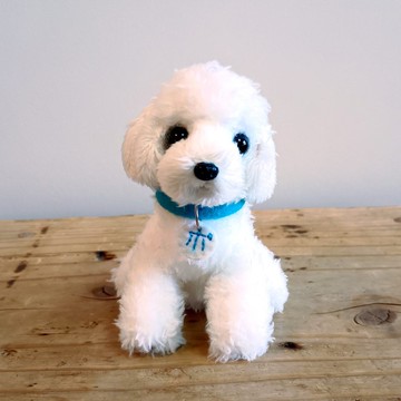 蓬鬆貴賓犬 白色 玩偶 坐姿狗狗造型鑰匙圈吊飾