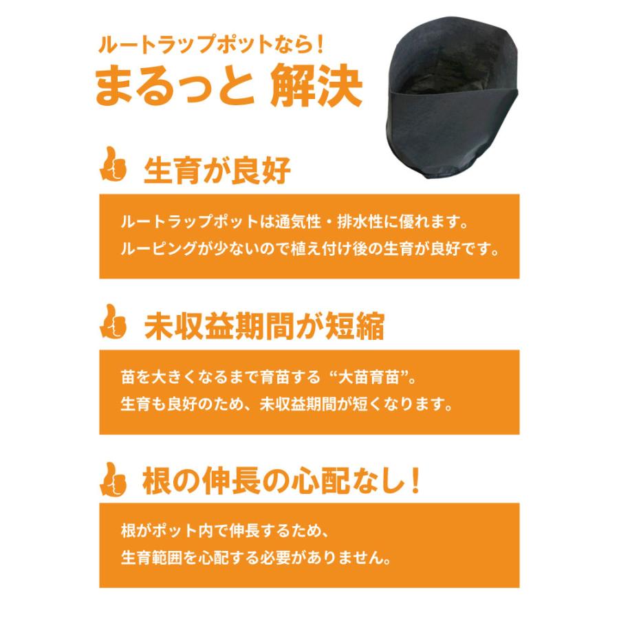 ルートラップ ポット 30A 57cmx 40cm 約 100L 不織布 根域制限 防根 遮根 透水 ハセガワ工業