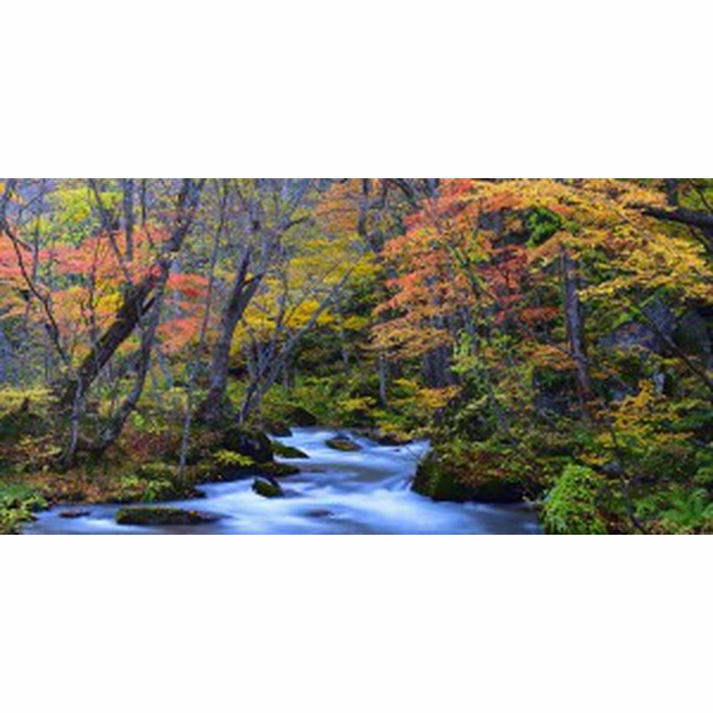 絵画風 壁紙ポスター 地球の撮り方 黄金色に輝く紅葉の奥入瀬渓流 青森県十和田市 パノラマ C Zjp 049s1 1152mm 576mm 通販 Lineポイント最大1 0 Get Lineショッピング