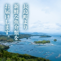 長島の鯛めし2合用と季節のお刺身 鯛飯 だし付kuriya-2831