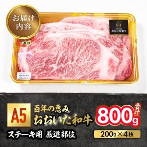 ふるさと納税 百年の恵み おおいた和牛 A5 ステーキ用 厳選部位 (計800g・200g×4枚) 国産 牛肉 肉 霜降り ロース 肩ロース サーロイン 和牛.. 大分県佐伯市