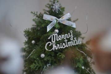 微微星光聖誕樹