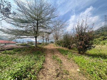 南投國姓近老街平坦臨路便宜農地｜南投縣國姓鄉水長流段