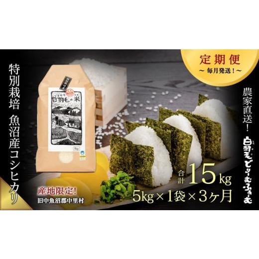 ふるさと納税 新潟県 十日町市 ≪令和5年産≫農家直送！魚沼産コシヒカリ特別栽培「白羽毛の米」精米(5kg×1袋)×3回 15kg