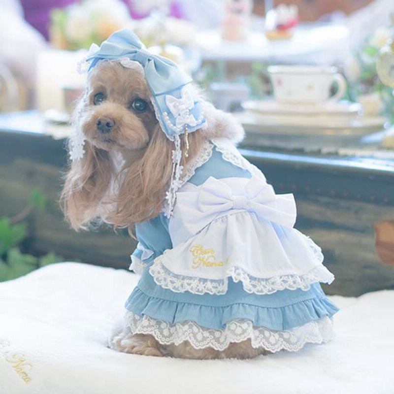 きゃんナナ アリスワンピ Mサイズ きゃんナナ 犬服 Can Nanaアリス
