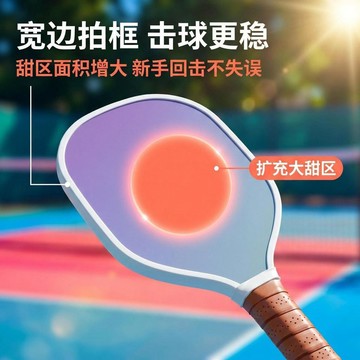 臺灣-出貨🔥匹克球板球拍套裝兒童學生初學者木質皮克球拍匹克球球拍全套4球