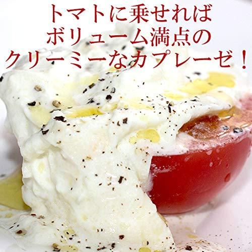 モッツァレラ ブラータ 100g 　イタリア産 冷凍 チーズ　原材料変更あり