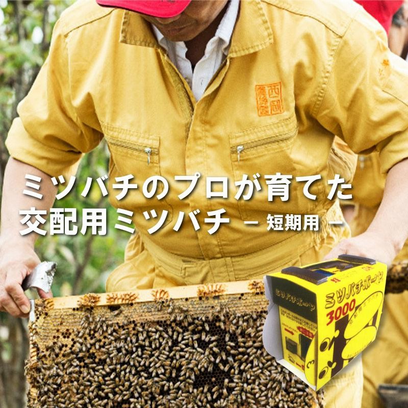 ミツバチ 受粉用 ミツバチボーヤ3000 短期 交配用 女王蜂なし 蜜蜂 3000匹 花粉 交配 授粉 スイカ メロン ピーマン ナス イチゴ  西岡養蜂園 タS 代引不可 | LINEブランドカタログ