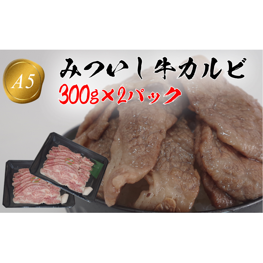 北海道産 黒毛和牛 みついし牛 A5 カルビ 計 600g 300g ×