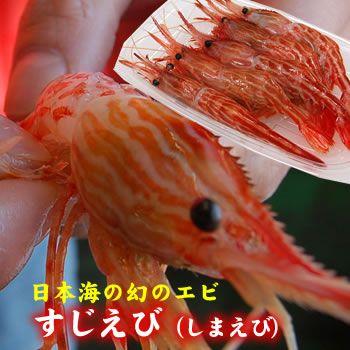 幻のエビ すじえび（しまえび）（冷凍）（約200ｇ前後）（お刺身可）（浜坂産）（シマエビ・スジエビ）