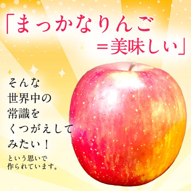 りんご サンふじ 王林 ミックス 葉とらず 10kg (28玉〜36玉入り) 訳あり 産地直送 青森県産 リンゴ 林檎 あまい 果物 くだもの フルーツ 11月下旬より発送