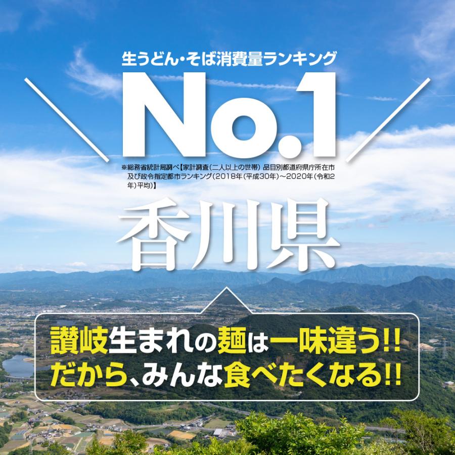 セール⇒889円 蕎麦 讃岐 純生 日本そば 8人前 8食 麺のみ 本場 旨い お取り寄せ 香川県 訳アリ もちもち 送料無料 お土産 ポイント消化