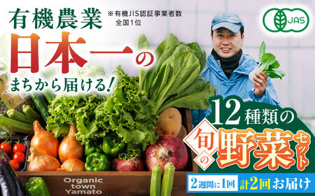 有機野菜 オーガニック 12種セット 詰め合わせ 野菜詰め合わせ 熊本県産有機野菜 山都町産有機野菜 産地直送 高原野菜 新鮮有機野菜 採れたて有機野菜 旬 有機野菜セット 有機野菜食べ比べ 九州産有機野菜 有機野菜 オーガニック[YAF013]