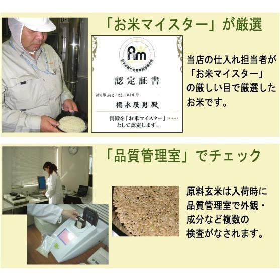 新米 令和5年産 無洗米 5kg×2袋 つや姫 山形県産 10kg 米 お米 送料無料 特別栽培米