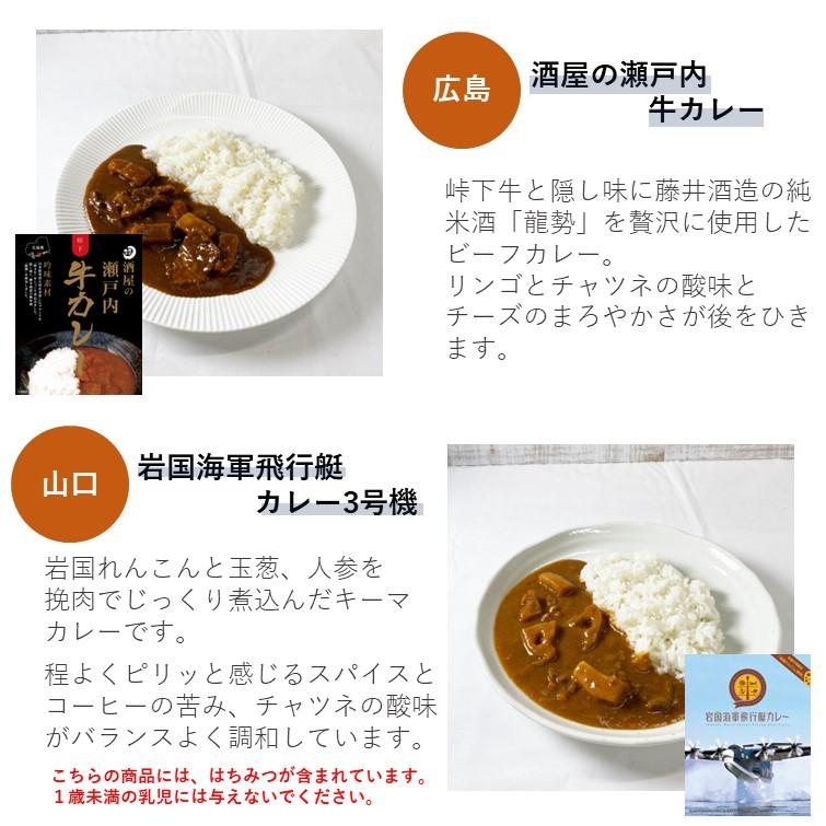 レトルトカレー バラエティー 10食 詰め合わせ 中辛 人気 ご当地 グルメ 日本 お取り寄せ 食べ比べ ギフトセット 旅行 常温保存 2023 食べ物