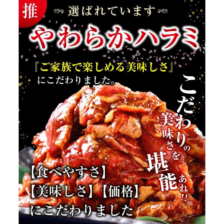 牛 牛肉 ハラミ 焼肉 1kg メガ盛り やわらかハラミ