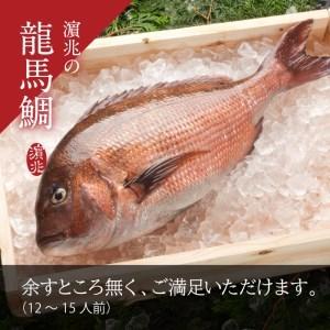 ふるさと納税 龍馬鯛　1尾まるごとお届け！ 高知県宿毛市