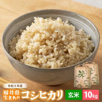 ふるさと納税 越前町 令和5年産　コシヒカリ(玄米)　10kg